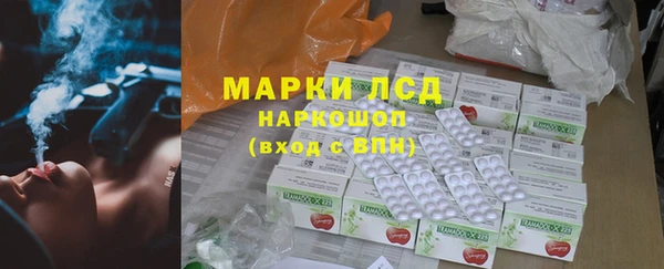 ГАЛЛЮЦИНОГЕННЫЕ ГРИБЫ Верея