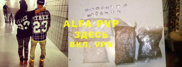 ГАЛЛЮЦИНОГЕННЫЕ ГРИБЫ Верея