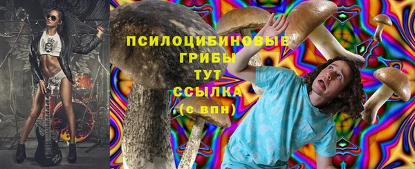 дмт Волоколамск