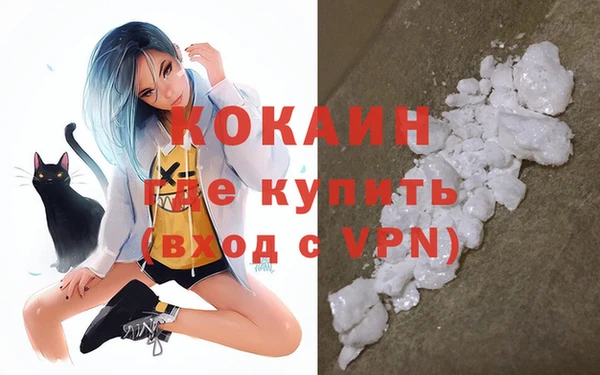 ГАЛЛЮЦИНОГЕННЫЕ ГРИБЫ Верея