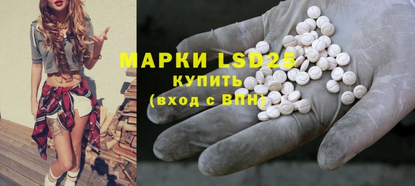 ГАЛЛЮЦИНОГЕННЫЕ ГРИБЫ Верея