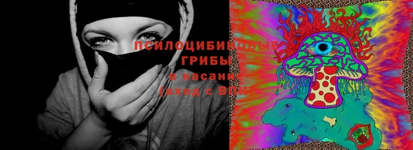 первитин Володарск